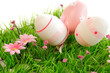 Painted Easter eggs on a green meadow