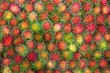 Rambutan wallpaper