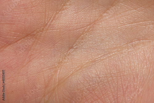Photo: background from the lines on the hand. Macro background from the lines on the hand. Macro