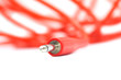 Photo: red jack on a white background. macro red jack on a white background. macro