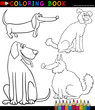Cartoon Dogs or Puppies Coloring Page