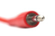 Photo: red jack on a white background. macro red jack on a white background. macro