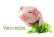 Smiling pig . With a beam of green parsley.