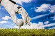 Golf equipment on green grass, golf field