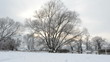 Sonnenuntergang am Fluss Havel im Winter
