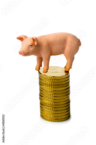 Photo: Schwein auf Münzstapel Schwein auf Münzstapel