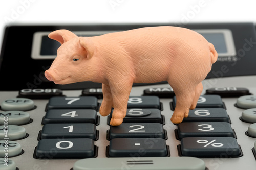Photo: Schwein und Taschenrechner Schwein und Taschenrechner