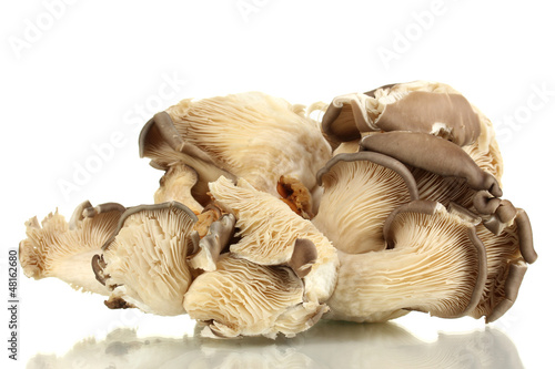 Photo: Fresh mushrooms isolated on white Fresh mushrooms isolated on white