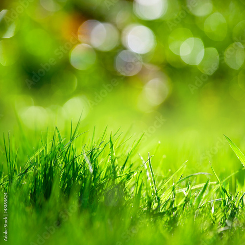 Photo: Herbe au soleil Herbe au soleil