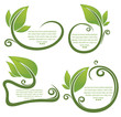 Vetor: leaf frame and form for your text leaf frame and form for your text