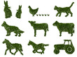 Fattoria, agricoltura biologica, verde, ecologia, allevamento