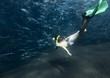 Underwater