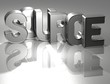 3D Word Source on silver background