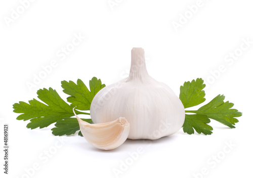 Photo: garlic bulb garlic bulb