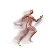 Mann, Sprinter Anatomie Muskeln 3D motion blur