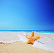A starfish on a beach with clear sky