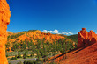 Rock formations in red canyon park in Utah.