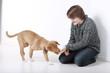 Jugendlicher gibt seinem Hund ein Leckerli
