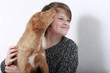 Junger Hund schleckt ein Kind ab Junger Hund schleckt ein Kind ab
