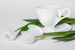 Cup of Tea and White Tulip Flowers
