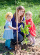 family planting sprouts