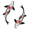 Carp koi