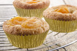 hausgemachte cupcake mit getrockneten Aprikosen
