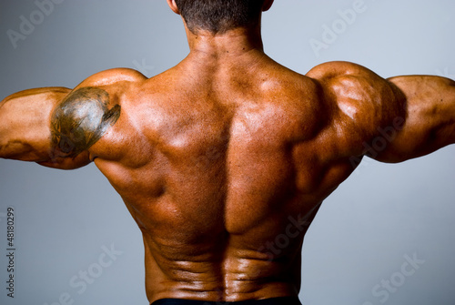 Photo: The back muscular man The back muscular man