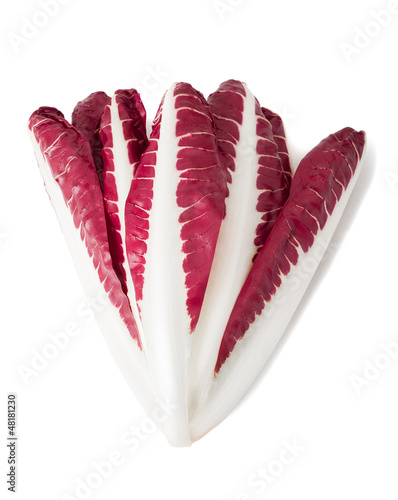 Photo: red chicory red chicory