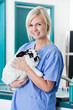 Female Veterinarian Doctor With Rabbit