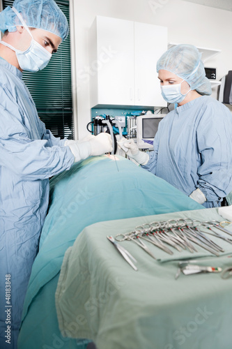Photo: Veterinarian Doctor And Female Assistant Performing A Surgery Veterinarian Doctor And Female Assistant Performing A Surgery