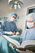 Veterinarian Doctor Operating With Female Assistant Referring To