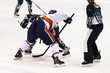 ice hockey players