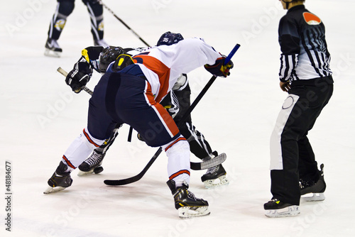 Photo: ice hockey players ice hockey players