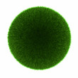 Green grass ball. Isolated on white.
