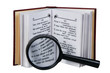 The opened book with a magnifying glass