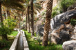 Oasis in the middle of a desert (Oman)