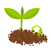 Germinal plants