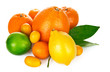 Foto: fresh citrus fruit with green leaf isolated on white background fresh citrus fruit with green leaf isolated on white background