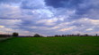 Meadow time lapse - spring