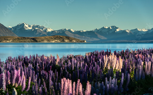Photo: Lake Tekapo with Aroki Mt.Cook, New Zealand Lake Tekapo with Aroki Mt.Cook, New Zealand
