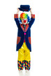Boy clown over the white background