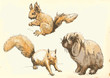 Young rabbits and two squirrels in motion.