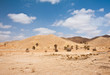 Photo: Sahara Sahara