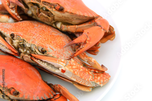 Photo: cooked crabs on plate cooked crabs on plate