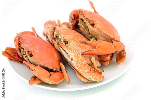 Photo: cooked crabs on plate cooked crabs on plate