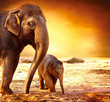 Elephant Mother and Baby outdoors