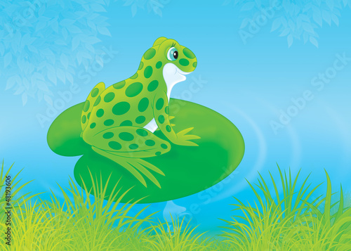 Illustration: frog sitting on a big leaf of water lily in a pond frog sitting on a big leaf of water lily in a pond