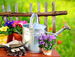 Gartenarbeit im Frühjahr