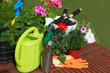 planting flowers with garden tools ,various flowers and herbs in